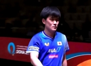 开云APP-关于法国乒乓球队轻取中国乒乓球队，张本智和制霸全场的信息