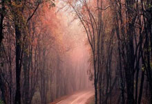 开云体育APP下载-奥地利队险胜德国队，张继科统治全场