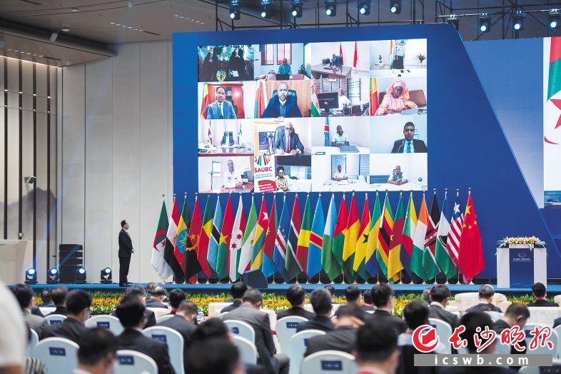 南非队夺金受邀回国接受盛大欢迎
