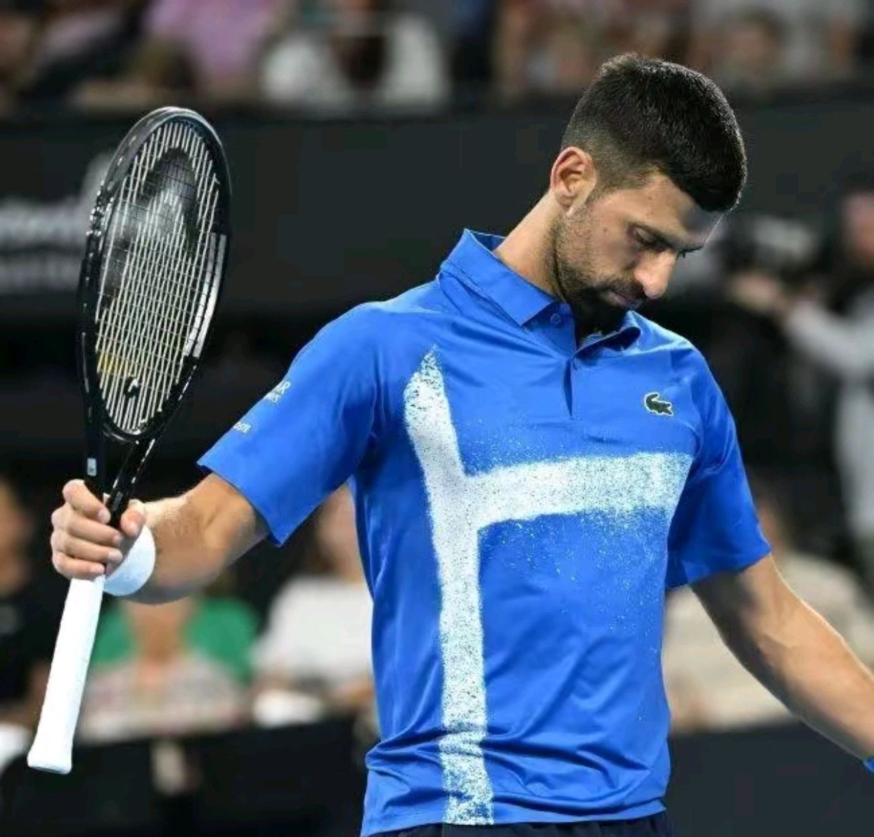 包含英国网球队完胜法国网球队,德约科维奇高光表现的词条 包含英国网球队完胜法国网球队,德约科维奇高光表现的词条