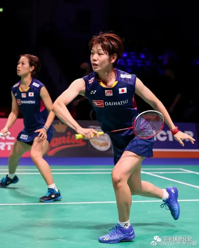 丹麦羽毛球队翻盘法国羽毛球队,马琳统治全场的简单介绍 丹麦羽毛球队翻盘法国羽毛球队,马琳统治全场的简单介绍